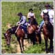équitation béarn